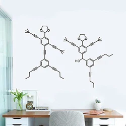 DIY Set of 2 Molecules Wall Stickers Home Decor Living Room Removable Wall Decal Bedroom Science Biology Art Sticker Mural Z299