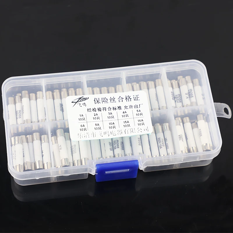 100Pcs Ceramic Fuse…