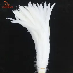 CHENGBRIGHT High Quality Pure White Rooster Coque Tail Feathers For Crafts Wedding Decoration Costume Decoration Pheasant Plumes