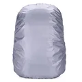 Silver 100L