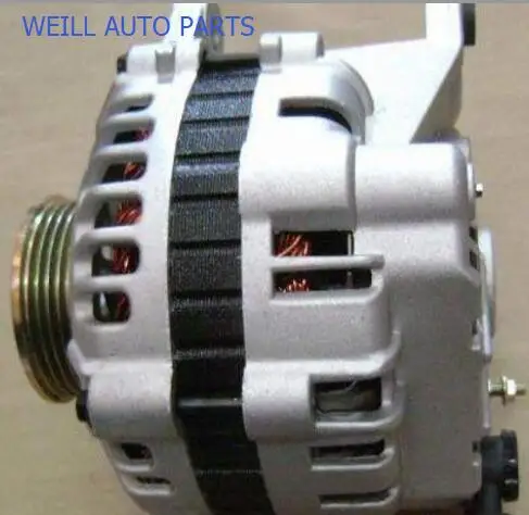 WEILL  3701020A-E01 GENERATOR ASSY for GREAT WALL DEER 491