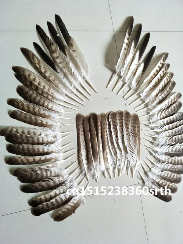Sale a set  high quality scare natural eagle feathers 20-33cm/8-14inch diy stage performance Jewelry crafts decoration collect image 3