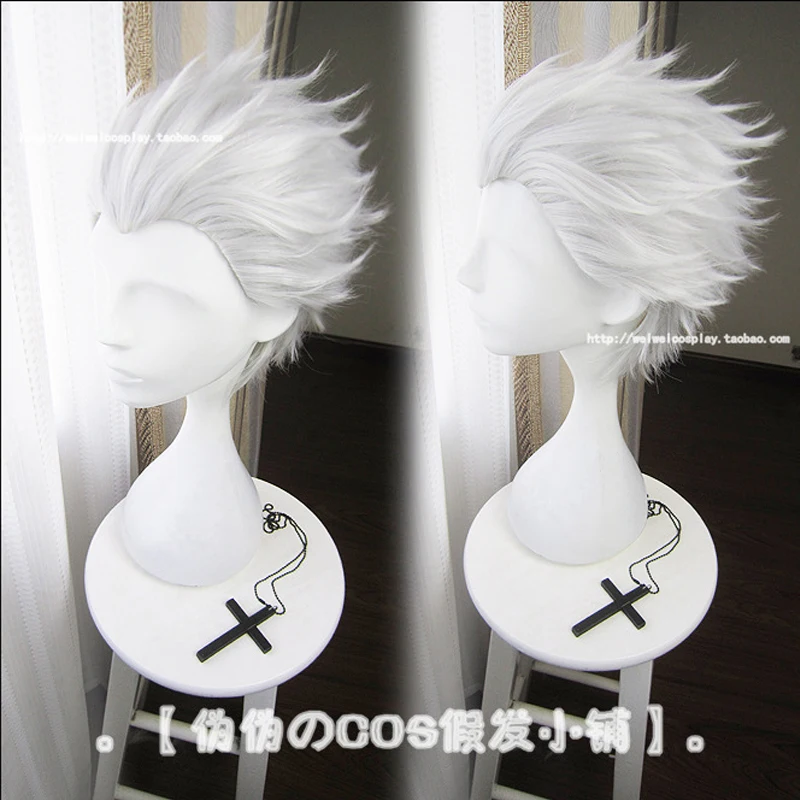 FGO Fate Extra Last Encore EMIYA Cosplay Wig Archer No Name Synthetic Hair Silver Grey + Wig Cap