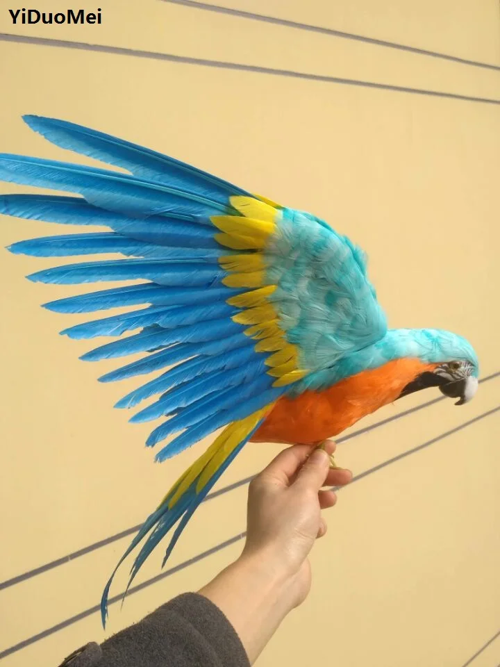 artificial parrot large 45x60cm beautiful feathers parrot spreading wings bird handicraft,prop,home garden decoration gift p1775