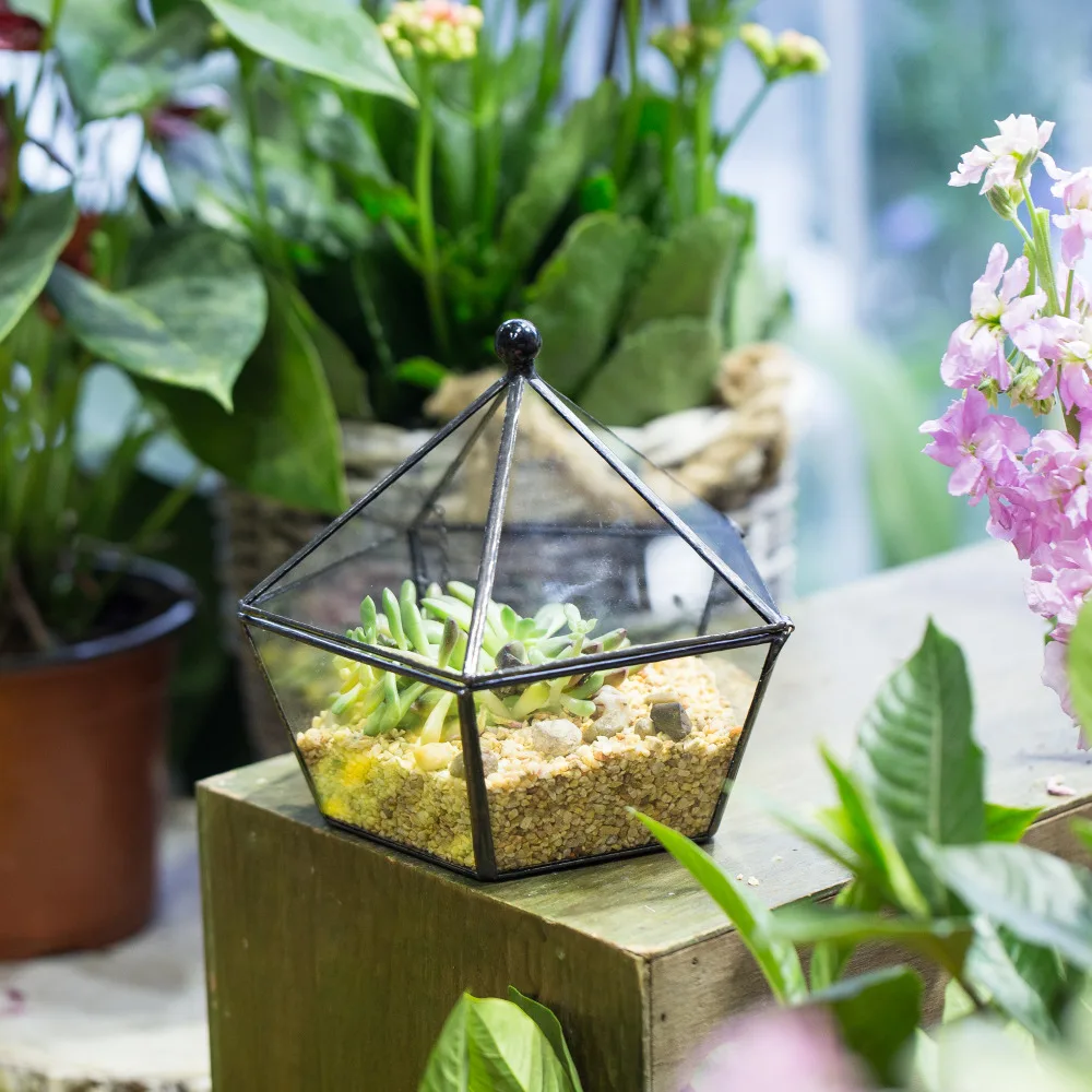 

Indoor Flowers Artistic Jewel-boxed Shape Container Glass Geometric Terrarium Desktop Planter Succulents Flower Pot Decorative