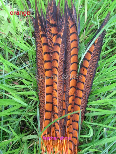 Wholesale!10Pcs/Lot!12-14inches 30-35cm long High Quality natural Lady Amherst Pheasant Tail feathers,