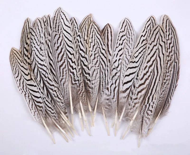 50Pcs/lot!6-8inches 15-20cm Silver Pheasant Wedding Quill white black Feathers for elegant festivity,