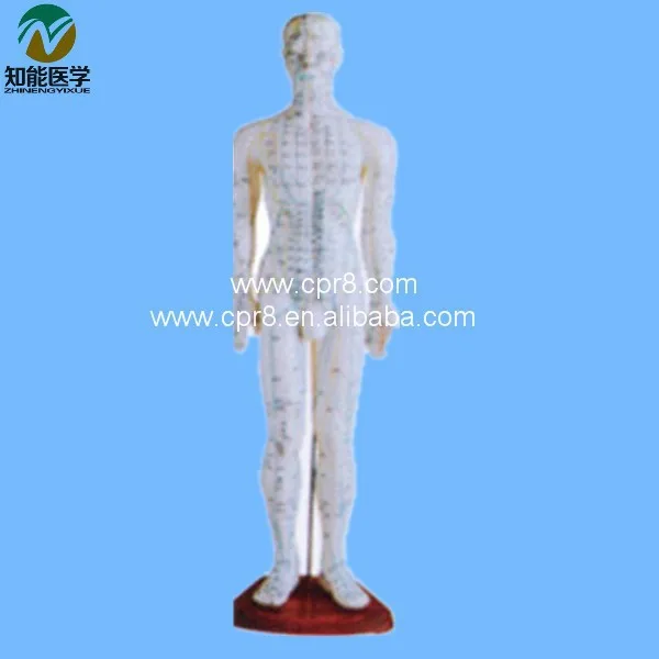 

BIX-Y1006 Standard Acupuncture Model (male) Height 60CM G035