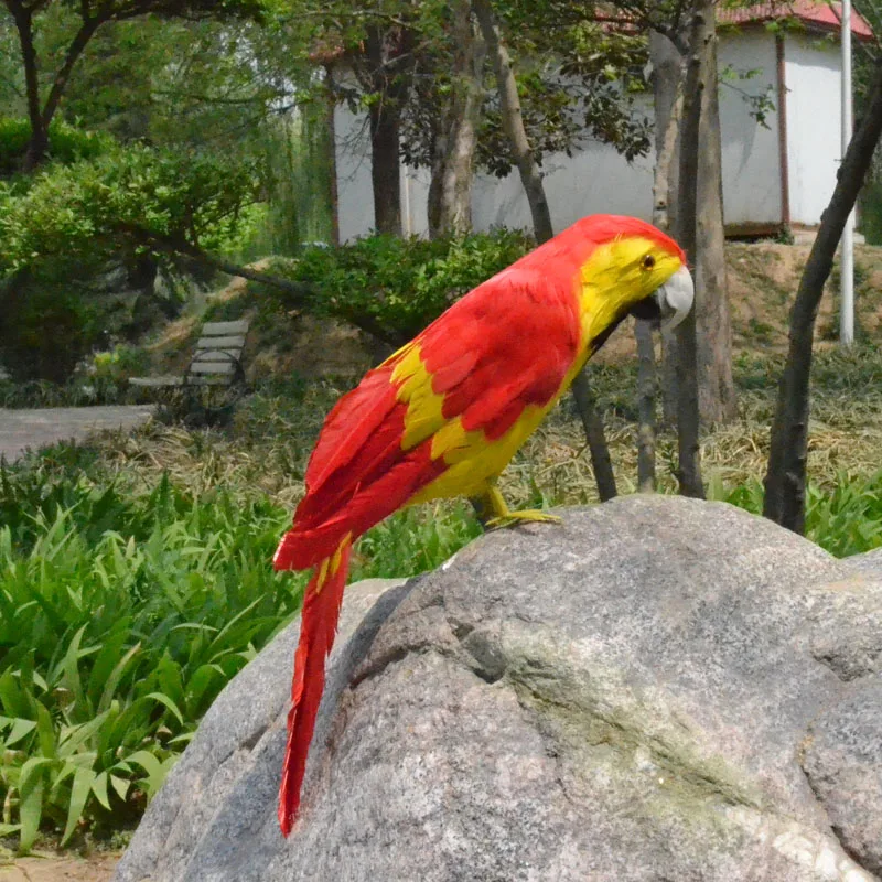 

about 40cm coloured red feathers parrot bird,Handmade model,polyethylene&feathers Macaw bird ,home decoration toy gift w3937