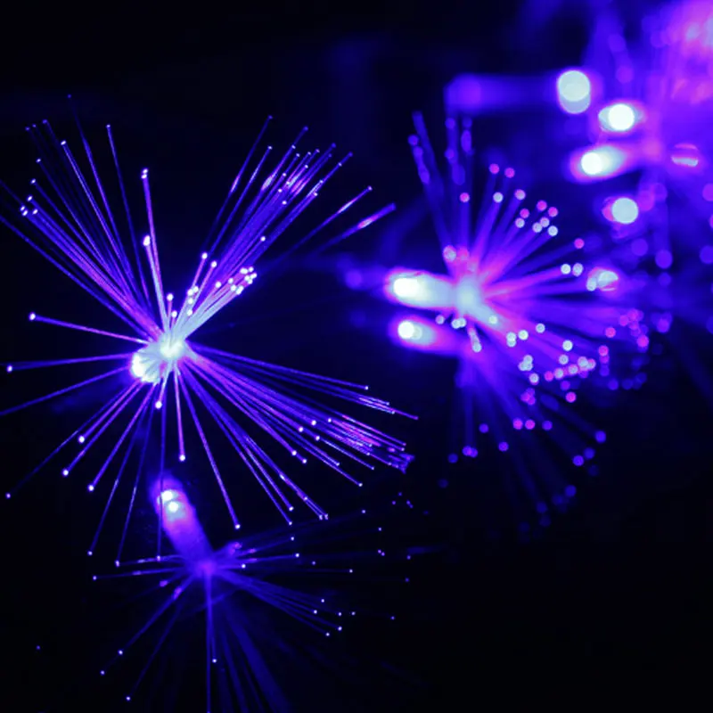 

33FT 10M 80LED Fiber Optic Trumpet Flower Light Fairy string lamp 8 modes Christmas/Xmas/wedding party decor EU 220V BLUE