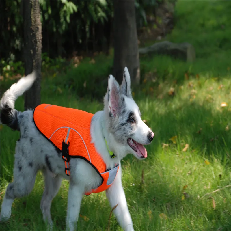 New Summer Outdoor Big Dog Vest Pet Jacket Sports Breathing Mesh Cool Clothes For Small & Medium & Large Dog Cat(M/L/XL/XXL)