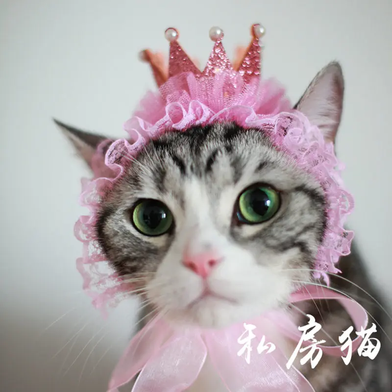 [MPK Cat Headwear] Beautiful Cat Hat, Pet Hair Accessories, Cat Headwear, Pet Birthday Hat, Cat Birthday Crown