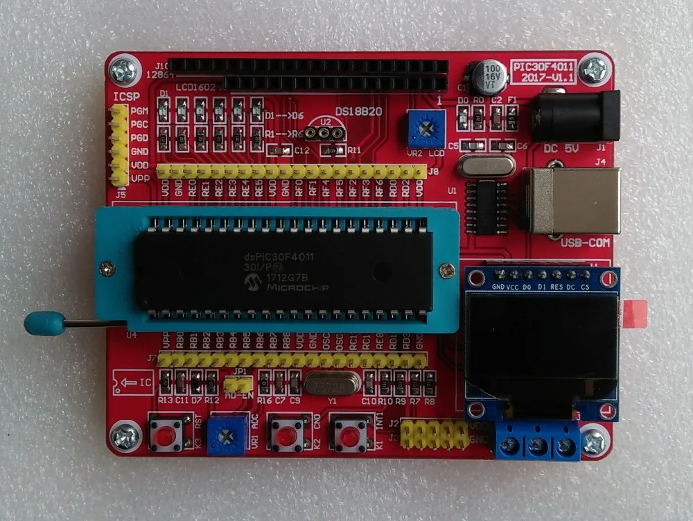 DsPIC 30F4011 NEW /dsPIC Experimental Board/System