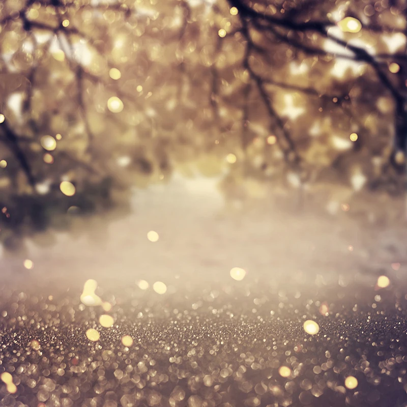 Allenjoy – arrière-plan professionnel pour appareil photo, toile de fond couleur pastel, doré et brillant, sac en tissu vinyle, automne