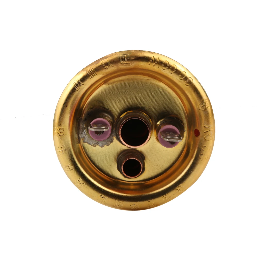 63mm Cap Brass Electric Water Heater Tube 220V 3000W  Heating Element Boiler Heater Parts