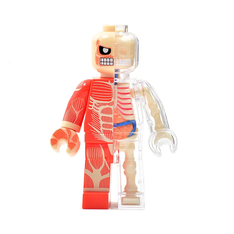 1Pcs Anime 4D MASTER Skeleton Anatomy Model Brick Man Doll Building Blocks Action Figures Adults Kids Science Toys Gifts