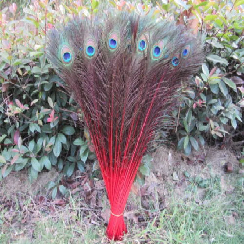 

Wholesale 20pcs/lot 55-60cm/22-24'' beautiful natural red peacock feathers eyes for DIY clothes decoration