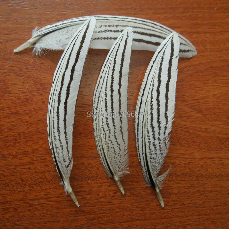 

50Pcs/Lot!5-9cm NATURAL Curved Silver Pheasant Small Quill Feathers for Diy Carnival Costume Mask Headdress Decoration