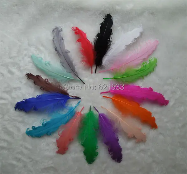 100pcs/lot! Multicolor Curly Goose Nagoire Feathers 6-7