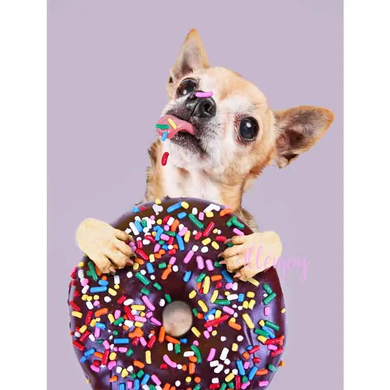 Latar Belakang Lilac Murni untuk Studio Foto Warna Solid Fotografi Murni Latar Belakang Potret Photocall Photobooth