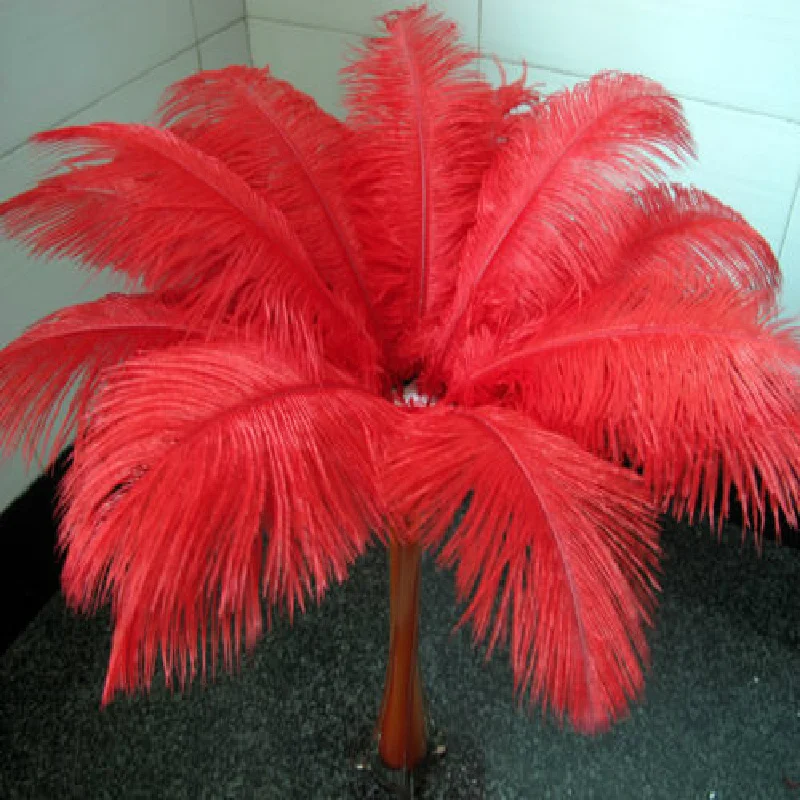 

Free shipping ! 20 pcs red South African ostrich feathers. High quality feather wedding props 45-50cm 18-20inches