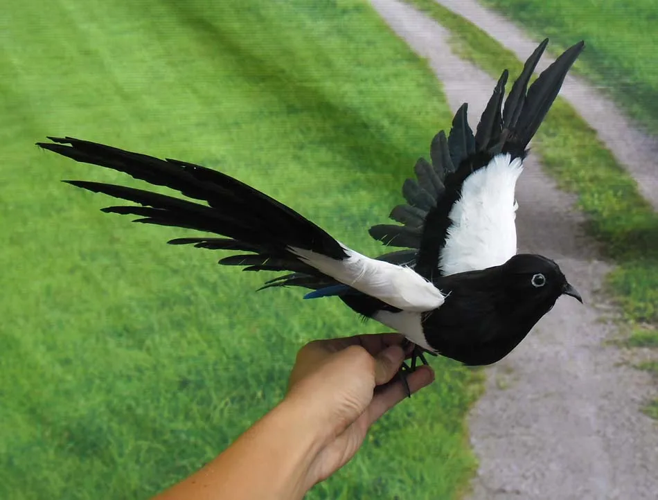 

about 30x50cm spreading wings magpie bird model toy ,plastic foam & feathers magpie ,prop,home Decoration gift w5589