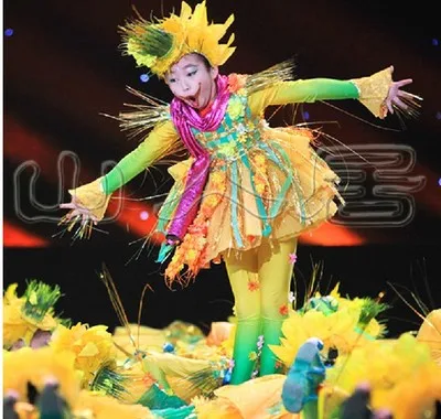 

Lotus style children's clothing Scarecrow children dance costumes dance performance clothing children have a full set