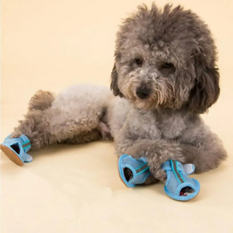 Casual Anti-Slip Small Dog Shoes For Cute Pet Shoes Summer Breathable Soft Mesh Sandals Beef Tendon Bottom Breathable Wear Shoes