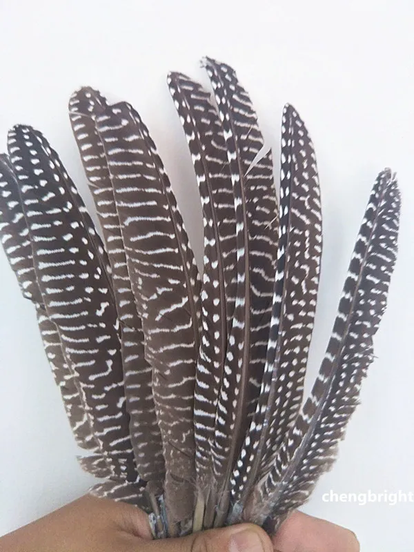 wholesale 10pcs beatiful natural  guinea fowl feather 13-18cm / 5-7inch  Decorative diy Clothing accessories Jewelry accessories