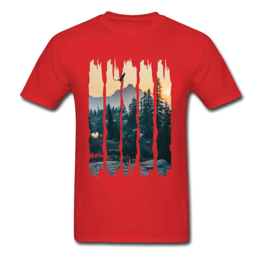 Chinese Style Natural Landscape Mountain Design T Shirt Stylish Fashion 3D Picture Tshirts For Men Round Collar Cotton T-shirts