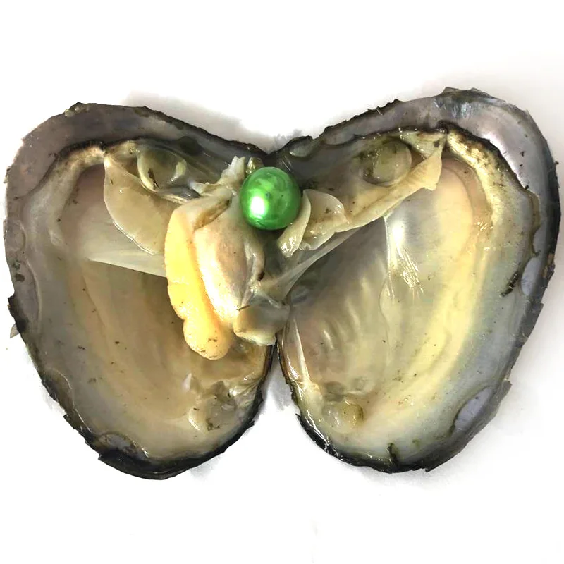 50pcs Vacuum Packed Oyster with Single White 9-10mm Natural Edison Pearl