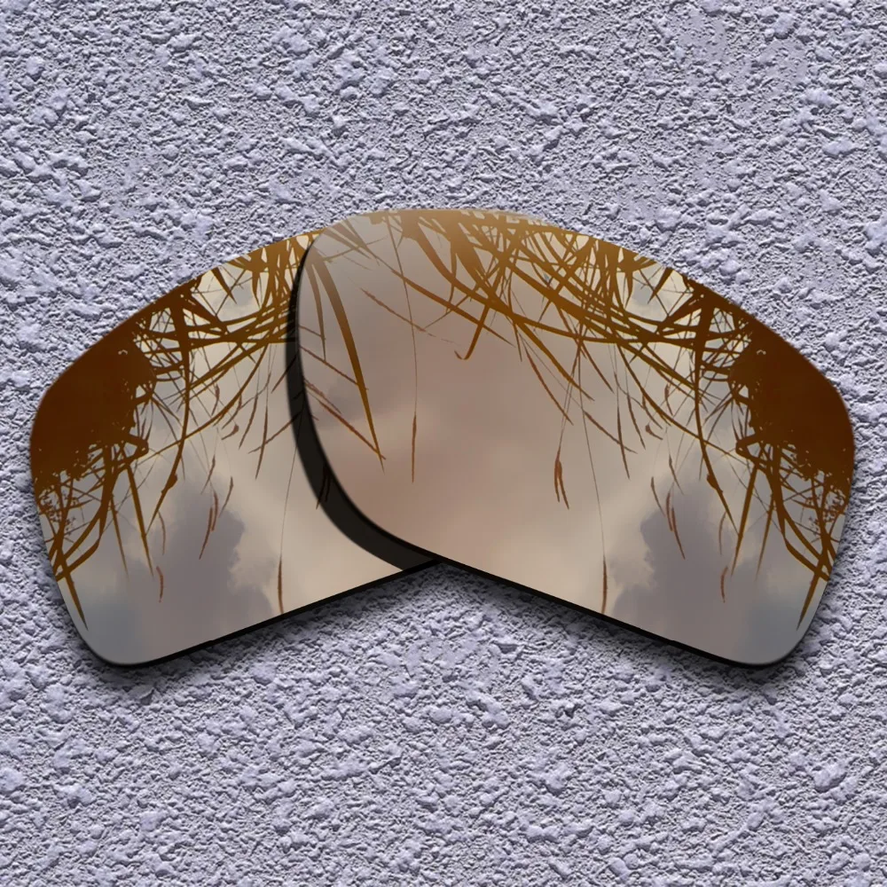 

Earth Brown Polarized Replacement Lenses for Oakley Big Taco Sunglasses