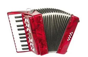 SunRhyme 22 Keys 8 Bass Kids accordion 22 Keys 8Bass accordion for Children/Adults (Red/Blue/Green 3color options)