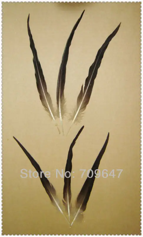 

Feathers decoration!10PCS/LOT!11-20CM Rarely Natural Gray Black Mallard/Drake Sword Tail Feathers duck craft feathers