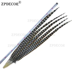 ZPDECOR-Reeves Pheasant Feathers, 90-100cm, 36-40 Inch