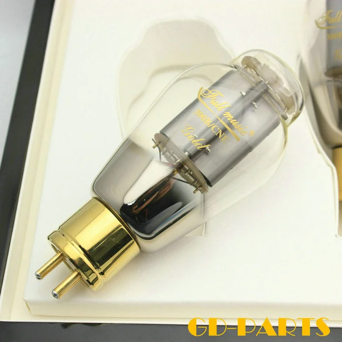 Neues passendes Paar Premium TJ Fullmusic 300B/CNE 300B CNE Vakuumröhre Spezial-Carbonplatte für Vintage-Verstärker-DIY-Upgrade
