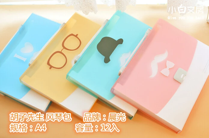 Fresh Color Organ File Folder Cute A4 Durable Kit Quality PVC Barrier Folder With Label Colored Cardboard Chenguang Stationery