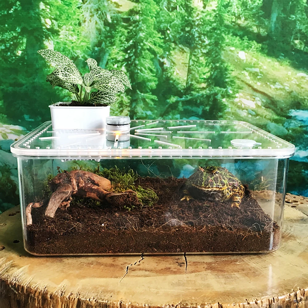 

Small Desktop Reptile Box Transparent Plastic Acrylic Reptile Breeding Box Spider Scorpion Small Pet Hatching Breeding Box