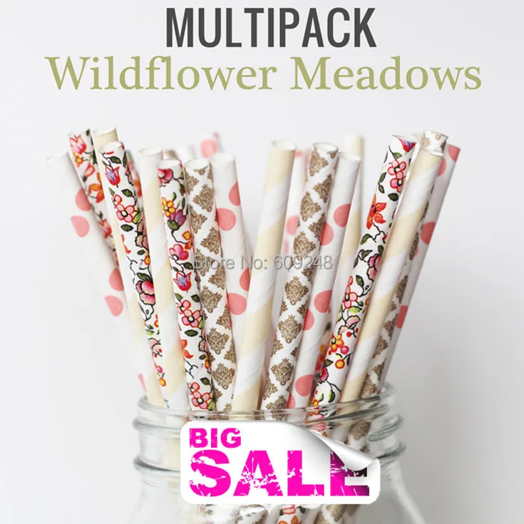 100 Pcs Mixed Colors WILDFLOWER MEADOWS Paper Straws,Gold Damask,Cream Stripe,Pink Polka Dot,Flower,Floral Party Drinking Straws