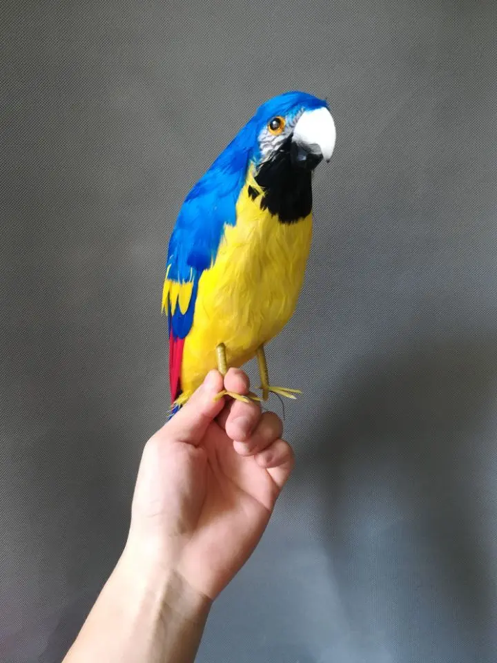 new simulation blue&yellow parrot model foam&feather cute parrot doll about 42cm