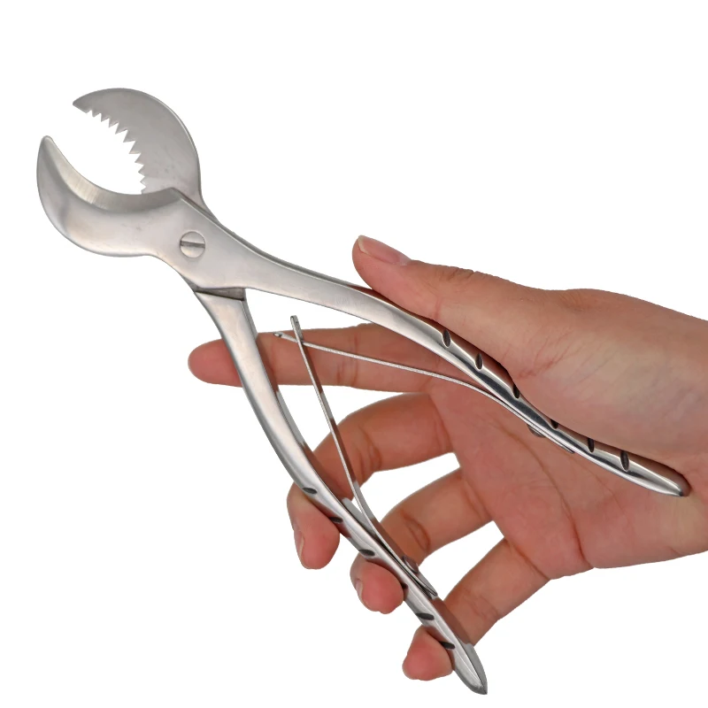 Tijeras de yeso Dental, herramientas de laboratorio de dentista, fórceps grandes de acero inoxidable, instrumento de yeso, Material de tijeras