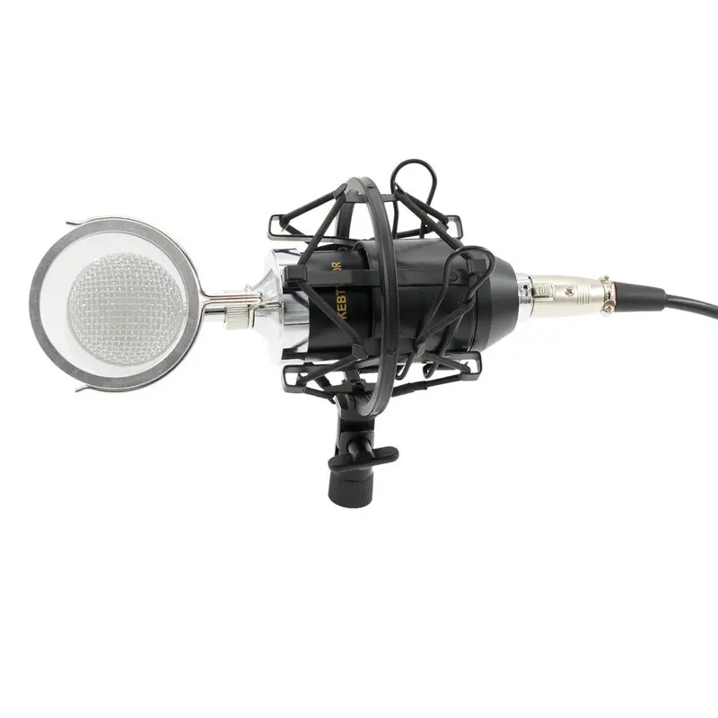 

BM8000 Professional Sound Studio Recording Condenser Microphone with 3.5mm Plug Stand Holder