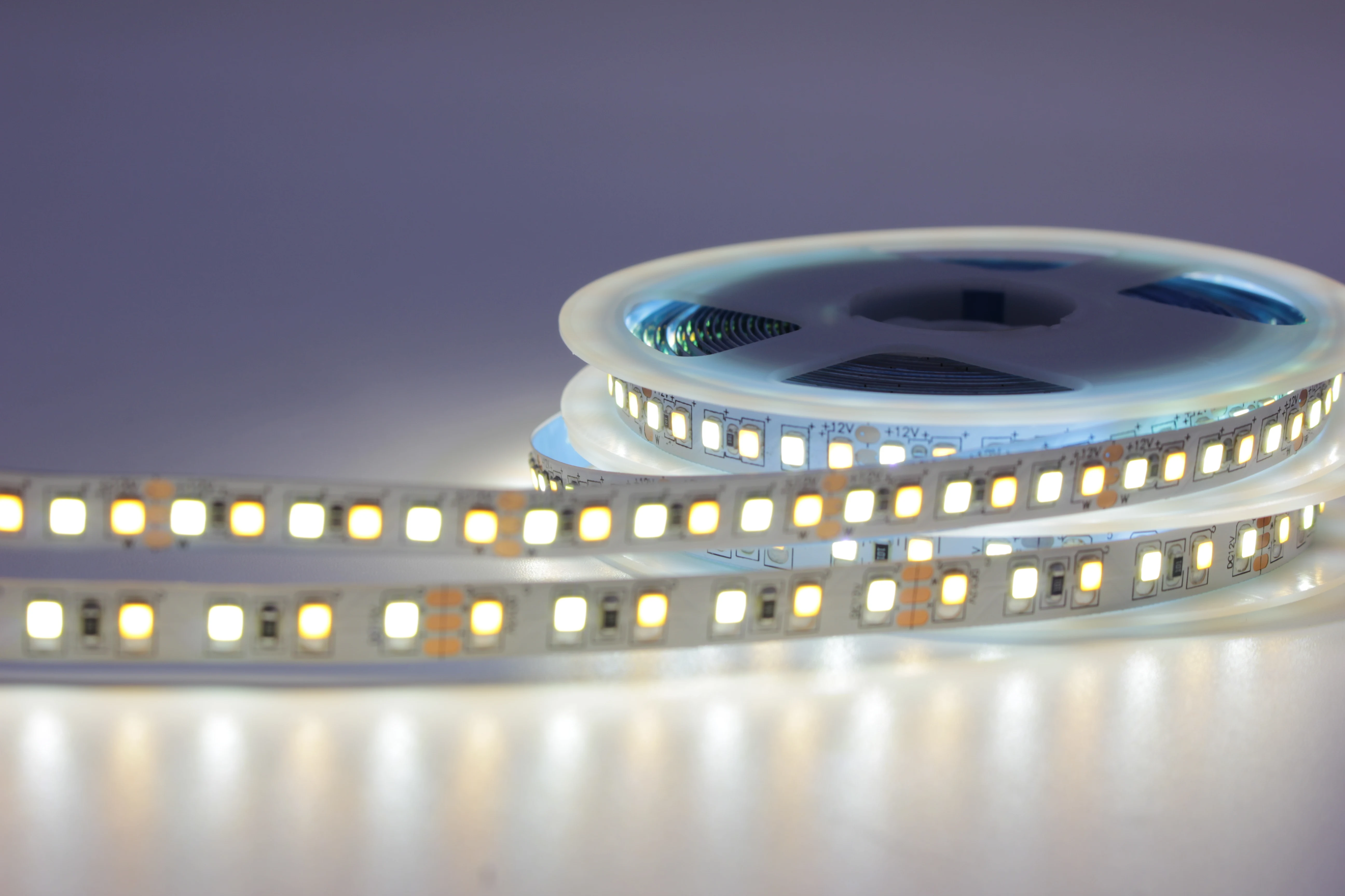 5M 2835 5mm 8mm 12mm CCT warm white  Dimmable LED Strip Light 12V 24v DC WW CW Color Temperature Adjustable Flexible Tape Ribbon