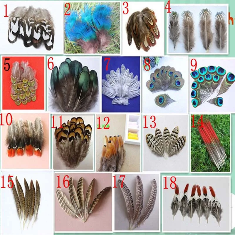 Wholesale 10 PCS beautiful pheasant tail & peacock feathers 4-20cm/2-8inches