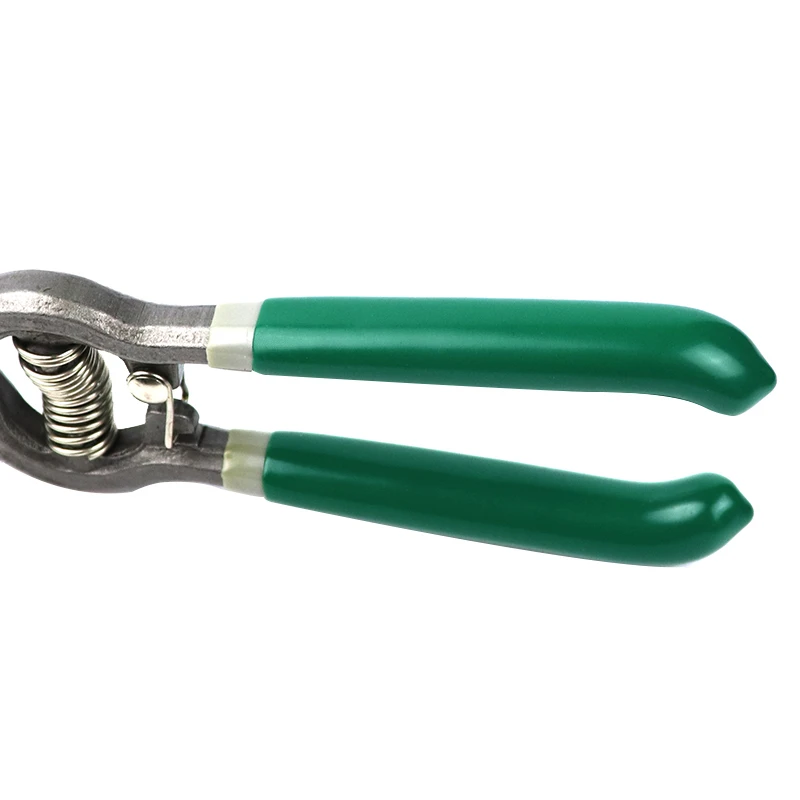 6"/8" Garden Scissors Mini Scissors Pruning Shears Flower Shears Pruner Household DIY Garden Cutter Hand Tools