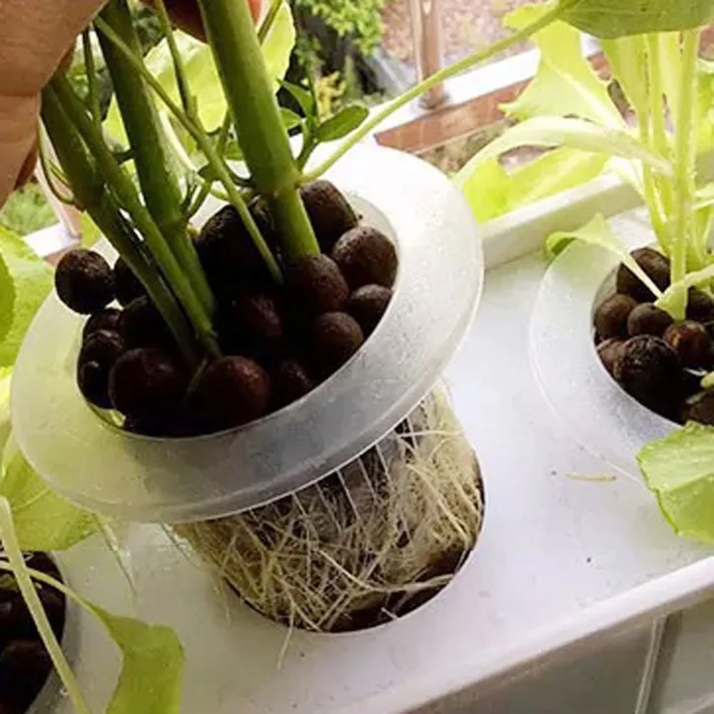 50 Stück neue weiße Hydro ponik Korb Garten Gemüse soilless wachsenden Netz Topf Multi-Size-Aeroponik Kunststoff Pflanz gitter Töpfe Kappe – Detail 8