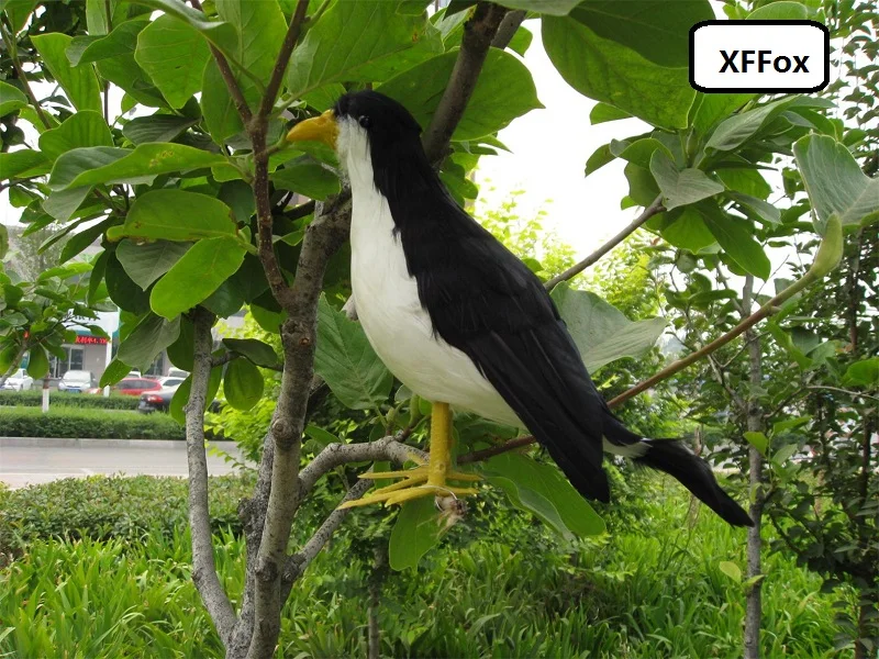 

new simulation White-faced pheasant bird model foam&feather real life black&white bird doll gift about 30cm xf1159