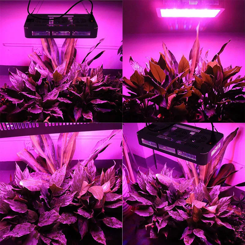 1200W 120leds LED Grow Light double chip growing lamp Full Spectrum plant growth lighting for Indoor Greenhouse hydroponics