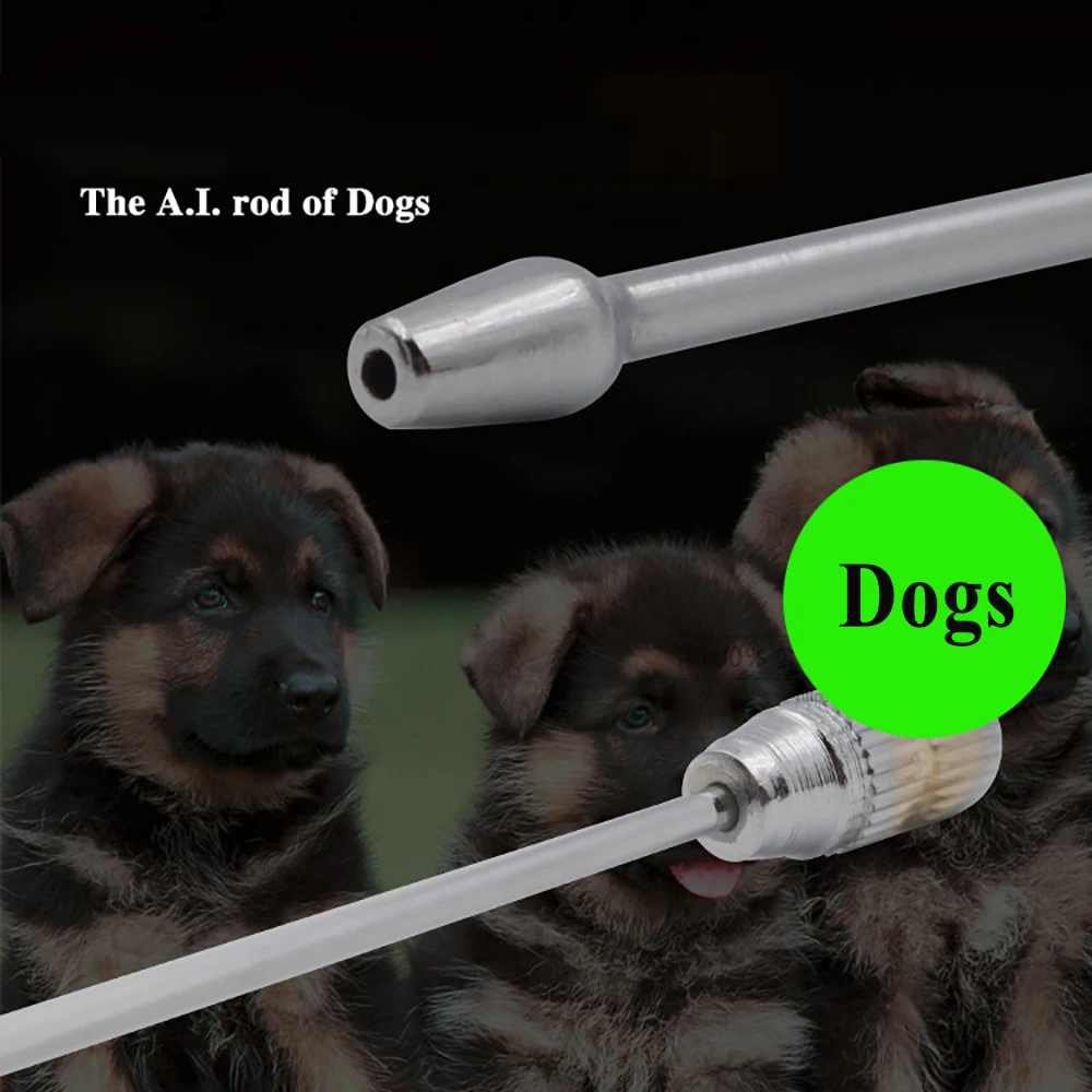 1PC-20PCS Pet Clinic Dog Canine Artificial Insemination Semen Deposition Sperm Stainless Steel Needles Round Tip Device Tools