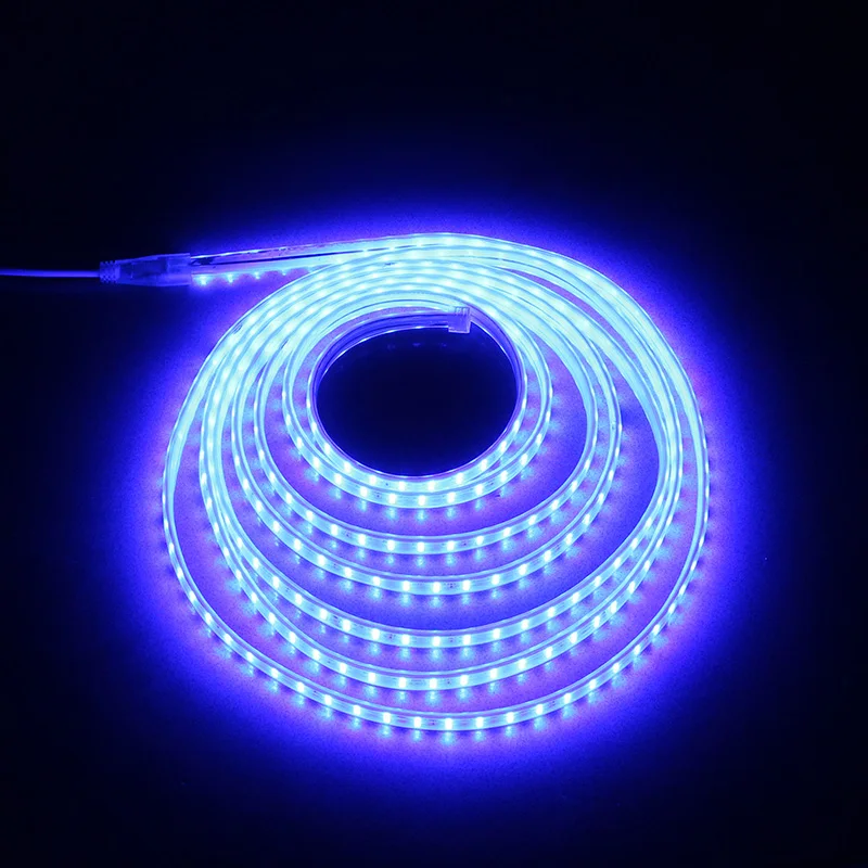 Waterproof LED Strip IP65 LED Tape 120 LEDs/M String Lights SMD2835 Flexible Light Garden Lamp Two Row LED Strips 220V Ribbon